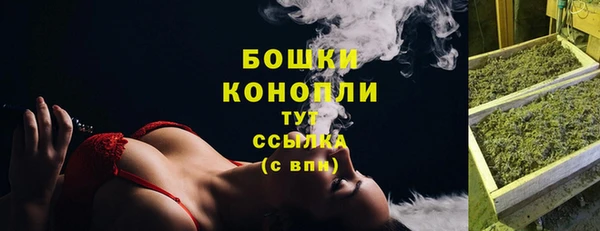 гашик Магас