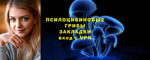 apvp Магадан