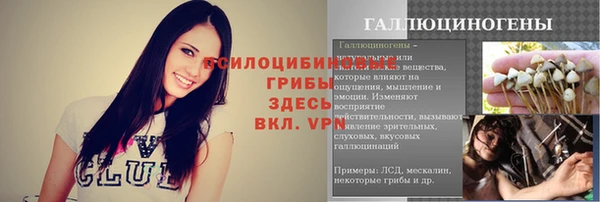 apvp Магадан