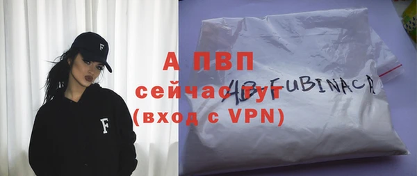 гашик Магас