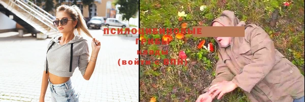 apvp Магадан