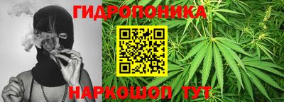 ГАЛЛЮЦИНОГЕННЫЕ ГРИБЫ Кимры