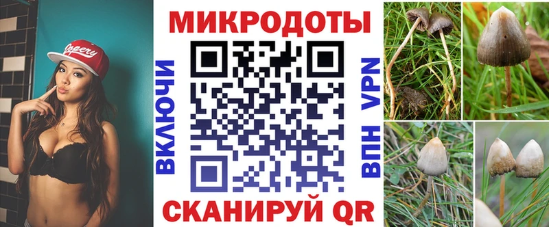 hydra маркетплейс  Комсомольск-на-Амуре  Псилоцибиновые грибы GOLDEN TEACHER 