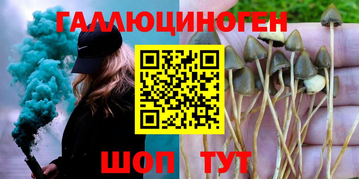 Псилоцибиновые грибы GOLDEN TEACHER Комсомольск-на-Амуре