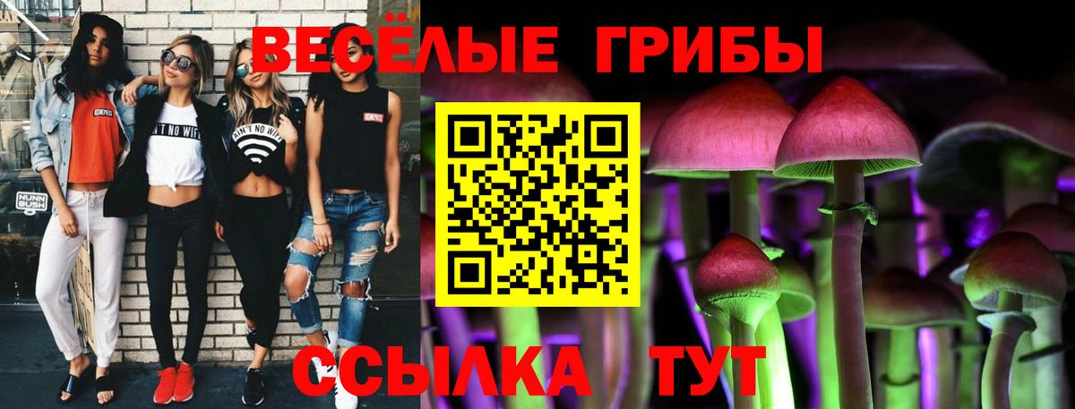 Псилоцибиновые грибы Psilocybine cubensis  Комсомольск-на-Амуре 